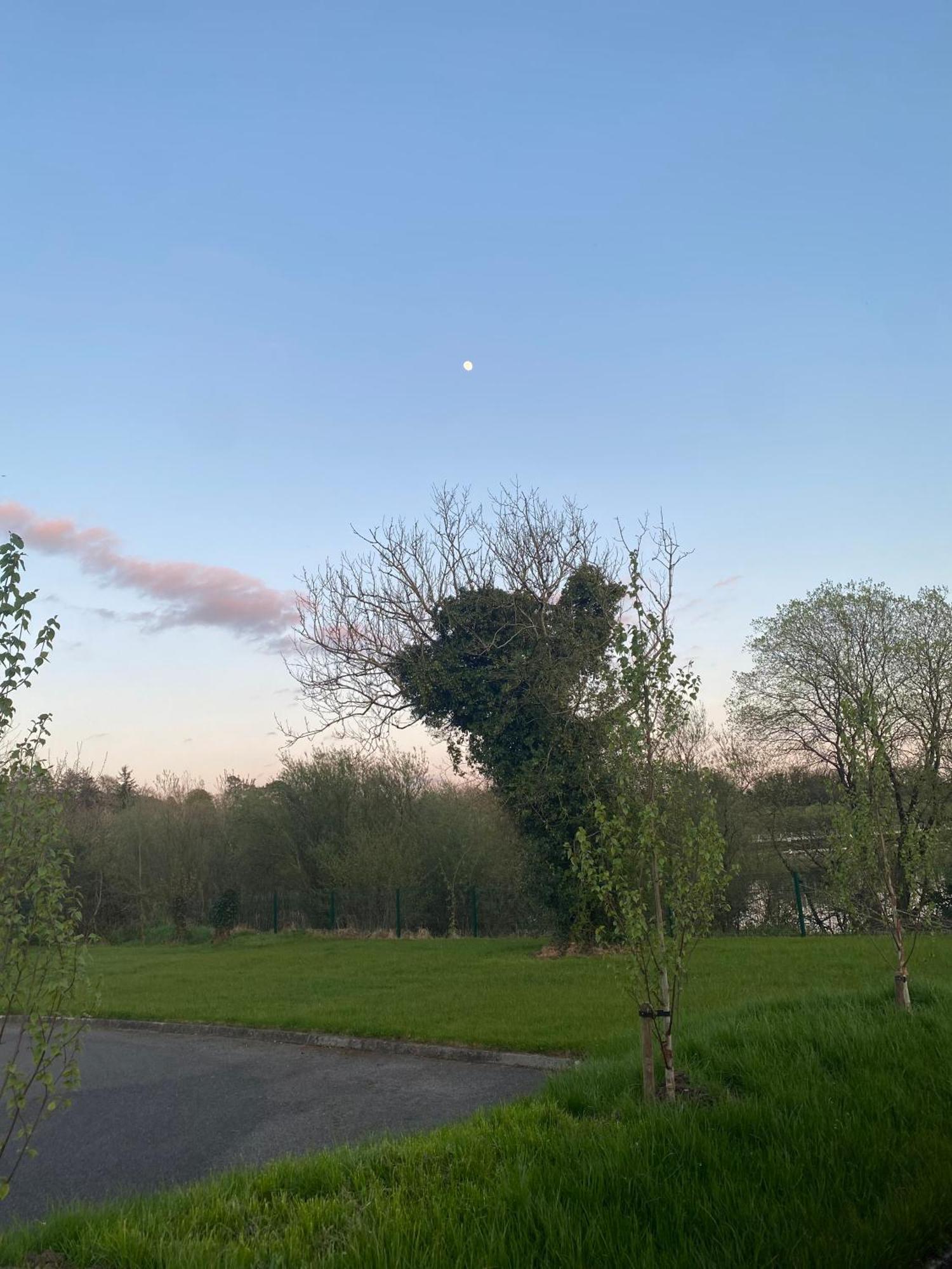 Killyfole Lakeside Lodges Corranny Exterior foto